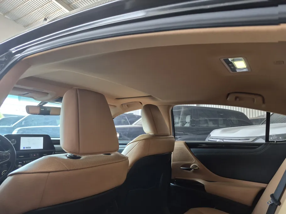 2023 Lexus ES 250 AA Elegant 