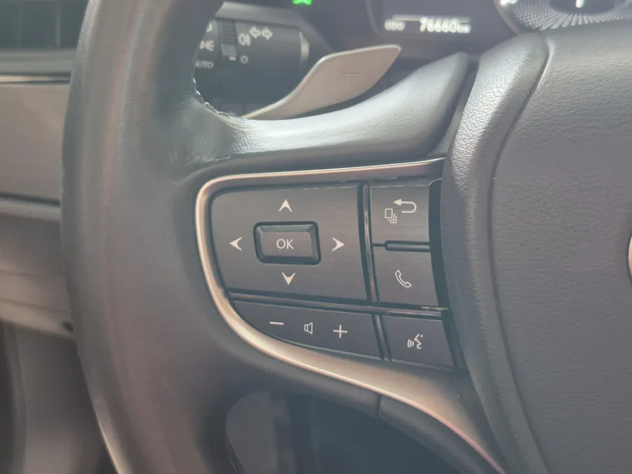 2023 Lexus ES 250 AA Elegant 