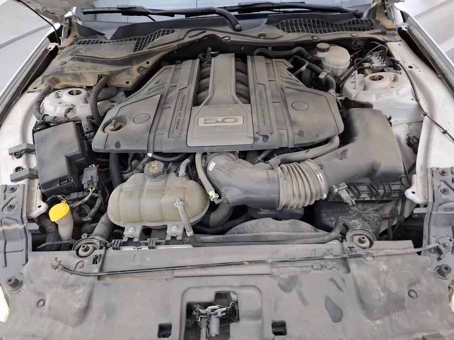 فورد موستنج GT 2019 