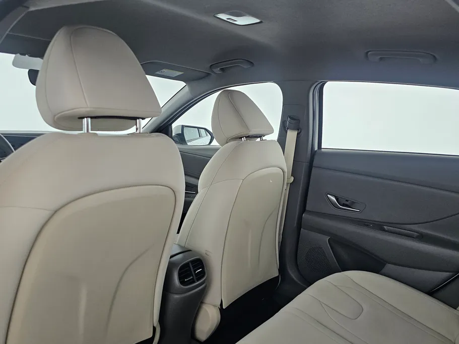 2023 Hyundai Elantra Fleet 