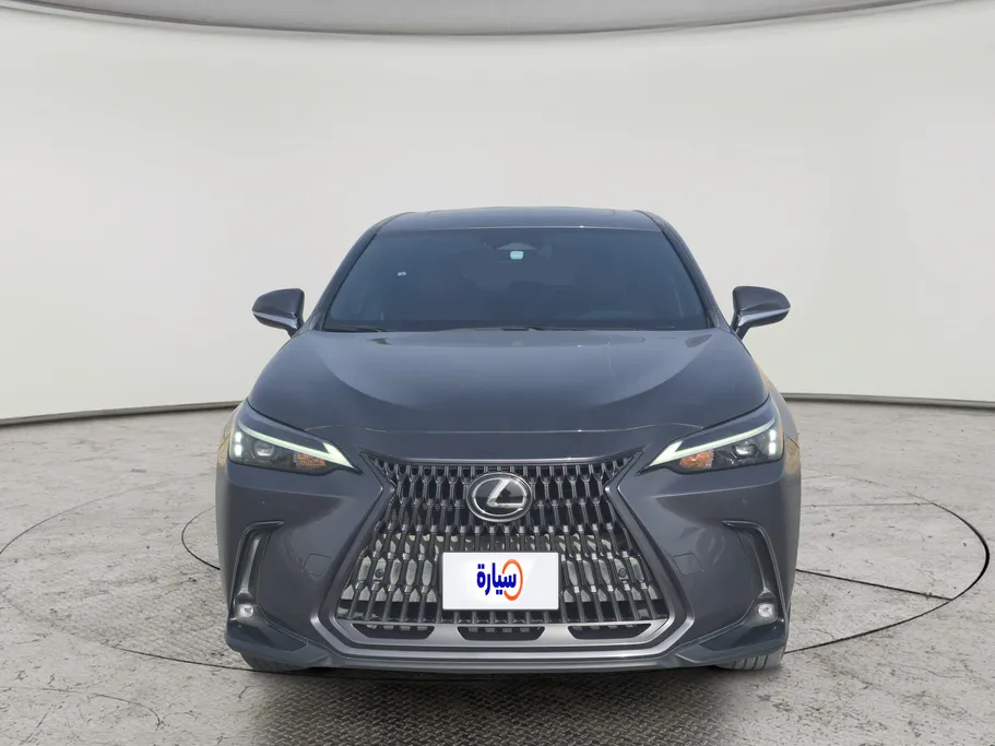 2024 Lexus NX 350h AH 