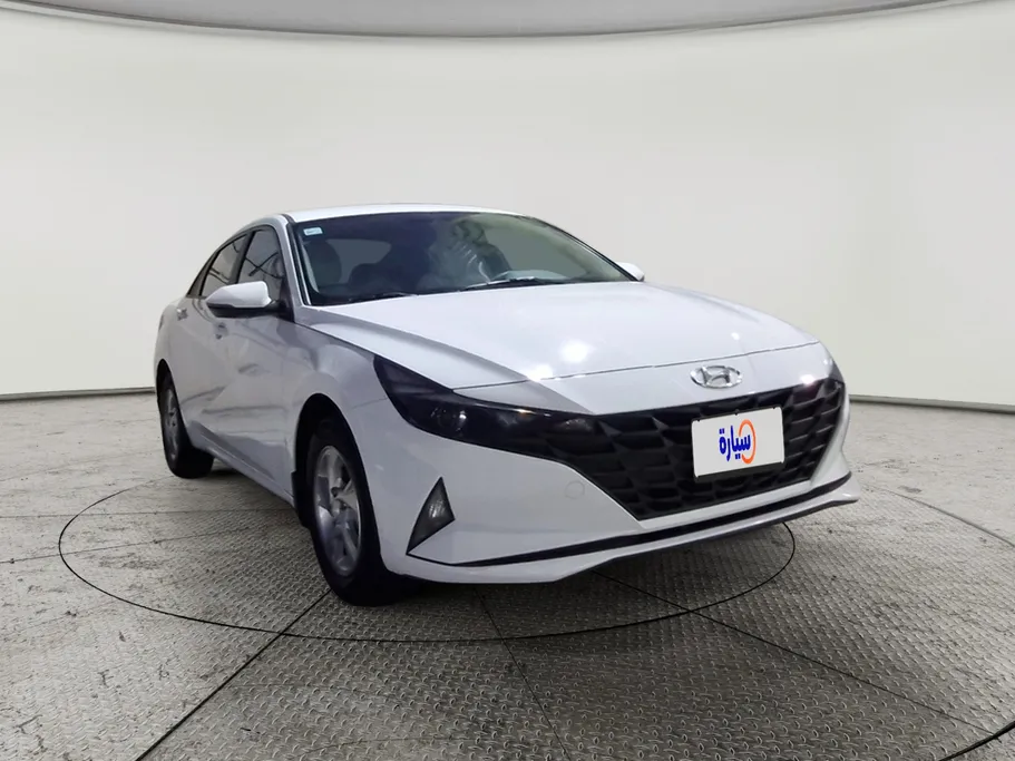 2022 Hyundai Elantra Fleet 