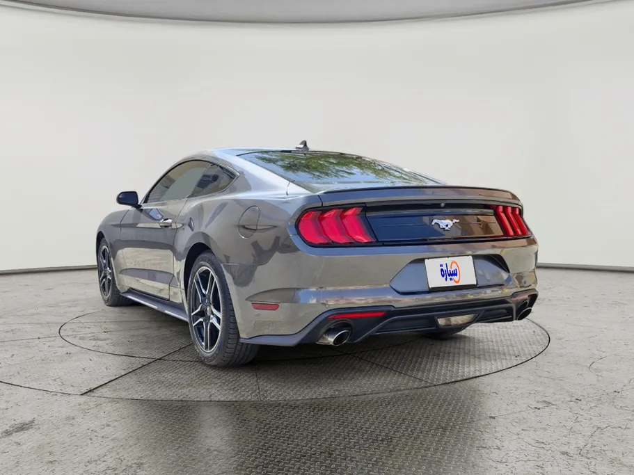 2020 Ford Mustang ايكوبوست 