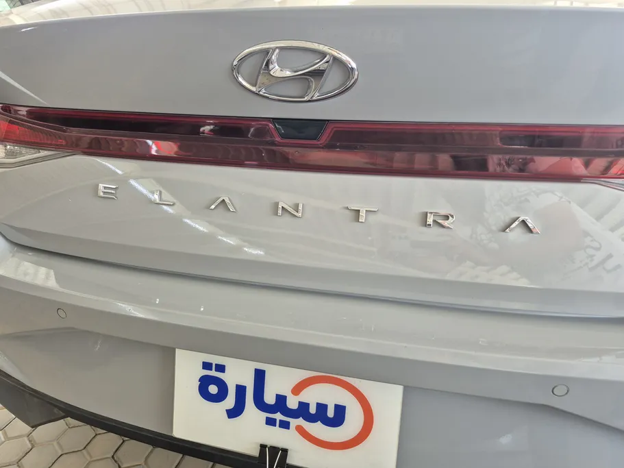 2023 Hyundai Elantra Fleet 