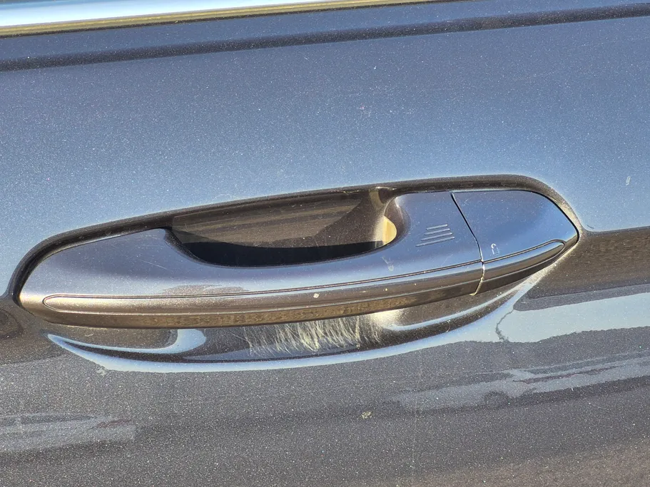 2022 Ford Taurus Ambiente 