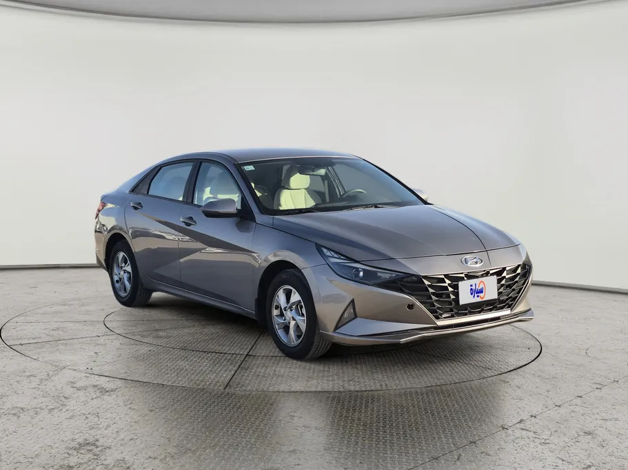 2021 Hyundai Elantra Fleet 