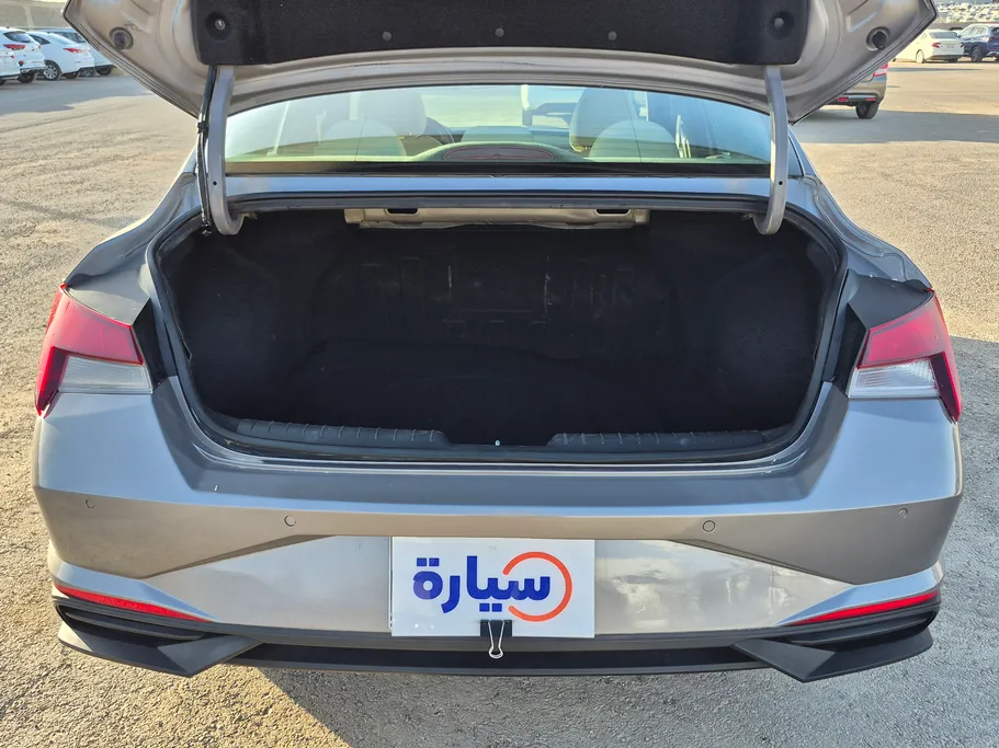 2021 Hyundai Elantra Fleet 