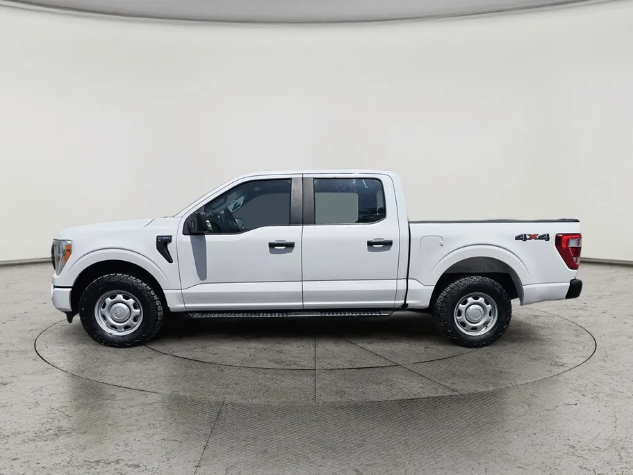 فورد F150 XL 2021 
