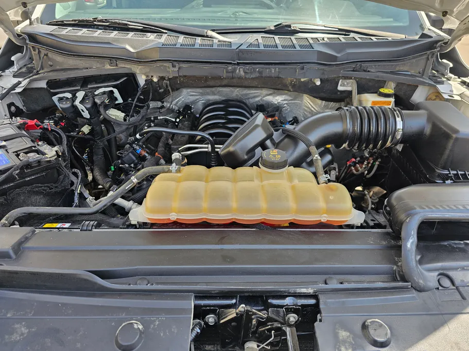فورد F150 XL 2021 