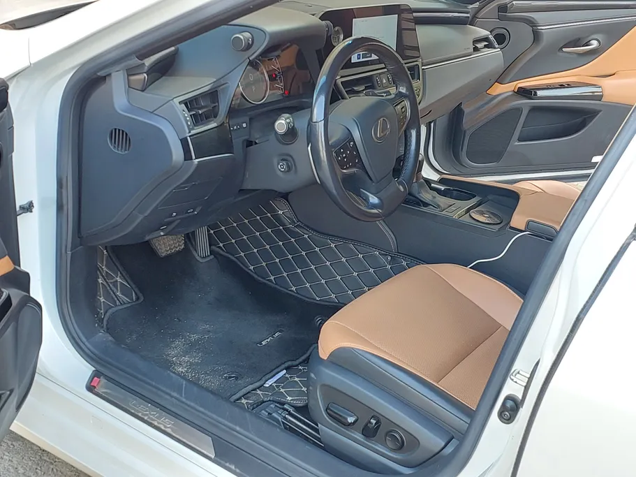 2023 Lexus ES 250 AA Elegant 