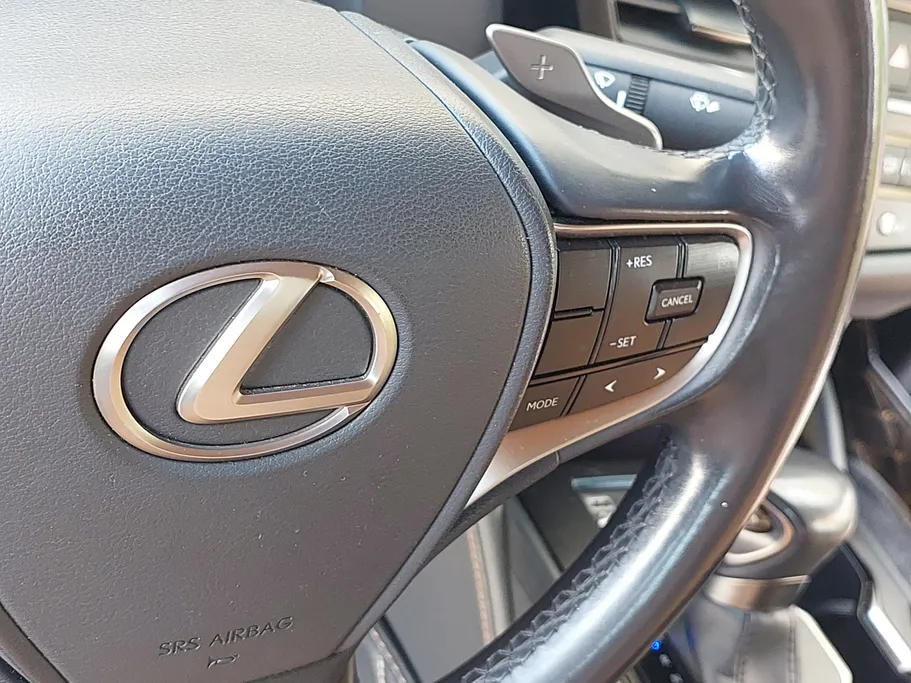 2023 Lexus ES 250 AA Elegant 