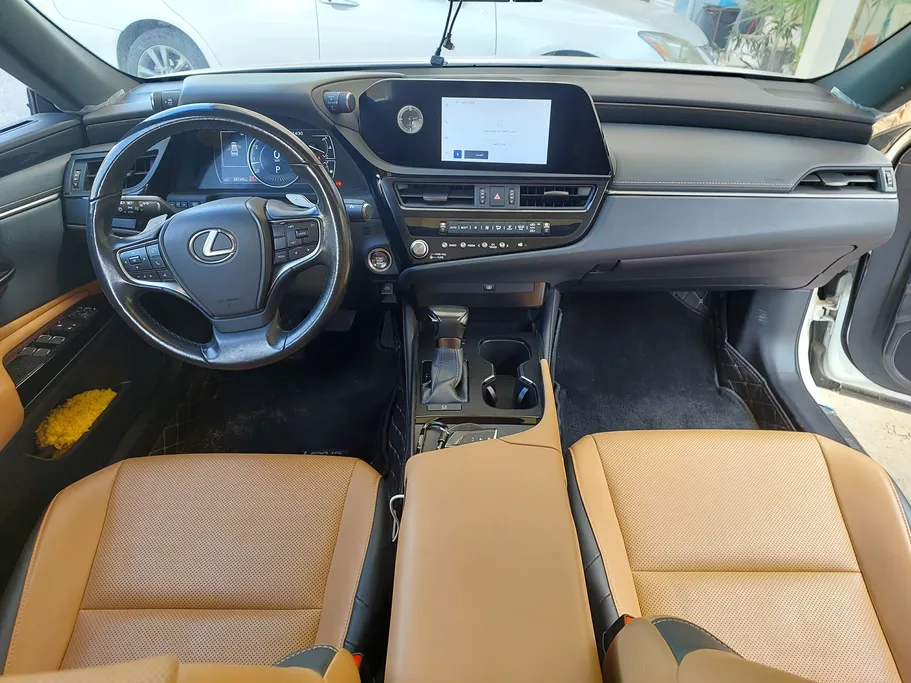 2023 Lexus ES 250 AA Elegant 