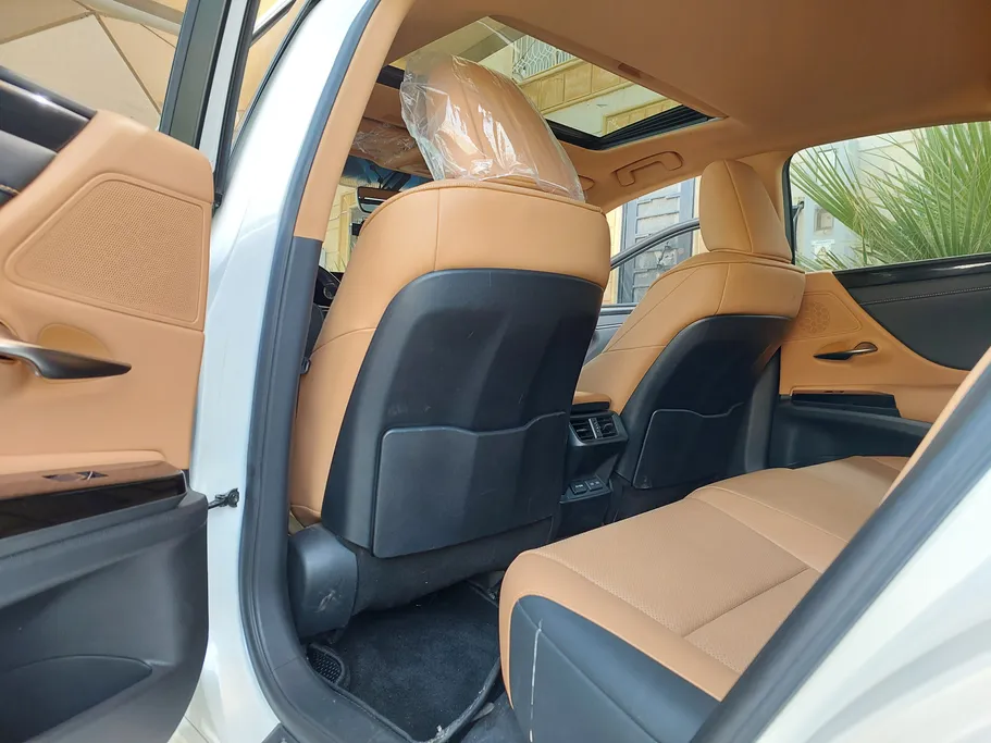 2023 Lexus ES 250 AA Elegant 