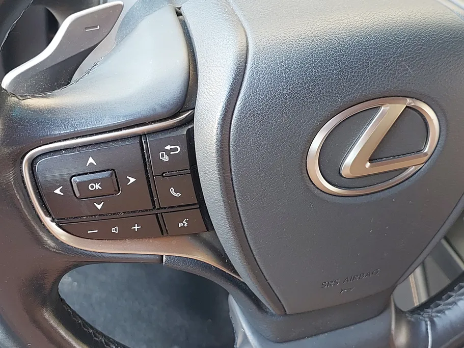 2023 Lexus ES 250 AA Elegant 