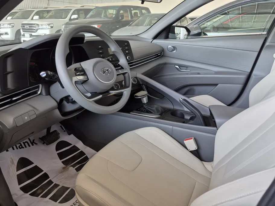 2023 Hyundai Elantra Fleet 