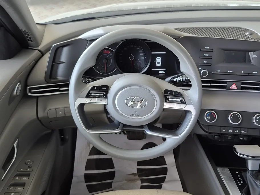 2023 Hyundai Elantra Fleet 