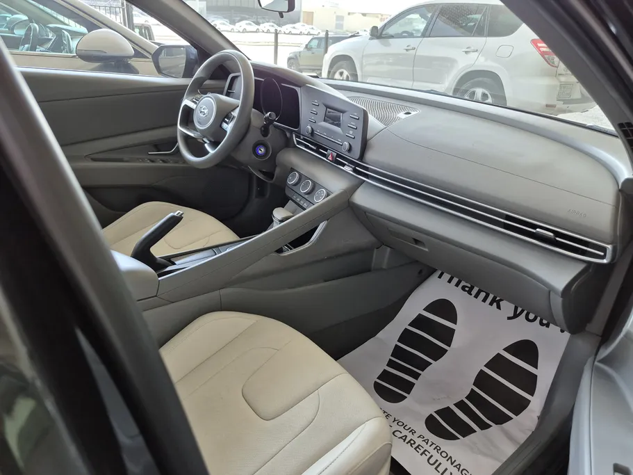 2023 Hyundai Elantra Fleet 