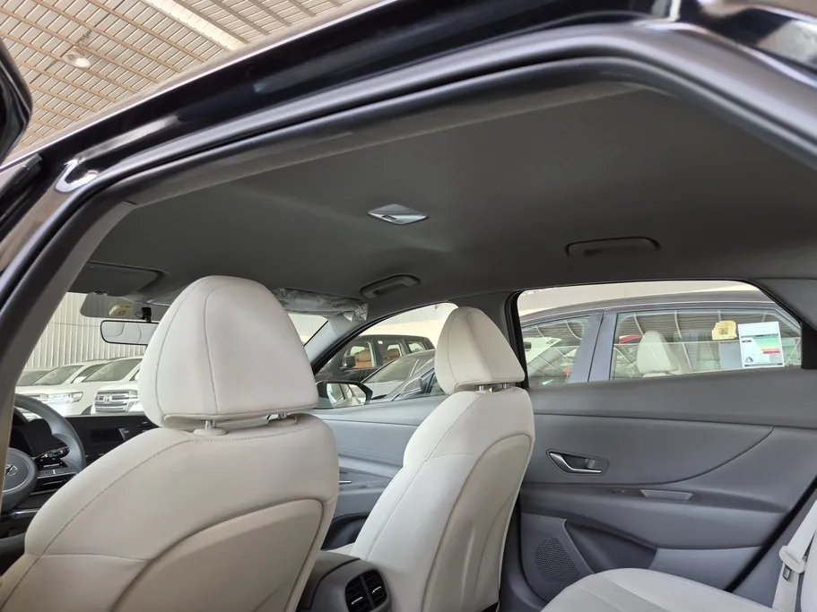 2023 Hyundai Elantra Fleet 