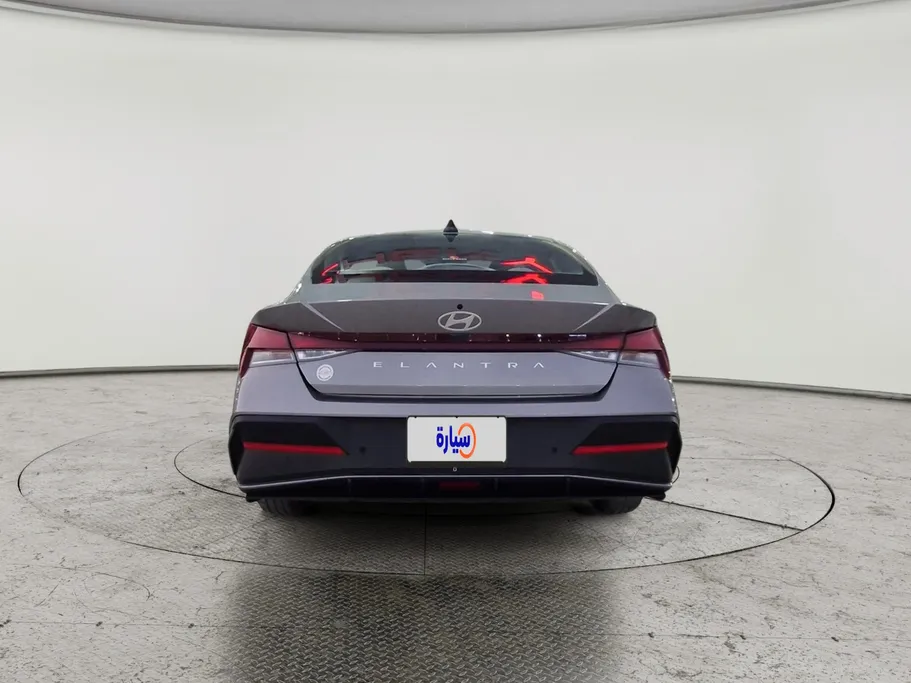 2024 Hyundai Elantra Fleet 