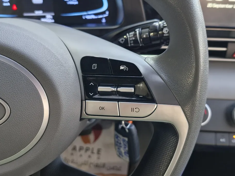 2024 Hyundai Elantra Fleet 