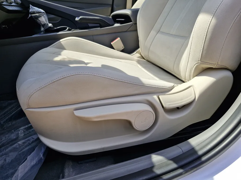 2024 Hyundai Elantra Fleet 