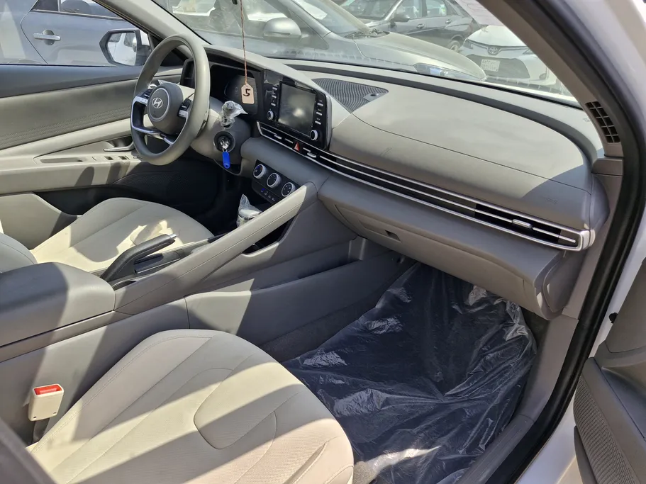 2024 Hyundai Elantra Fleet 