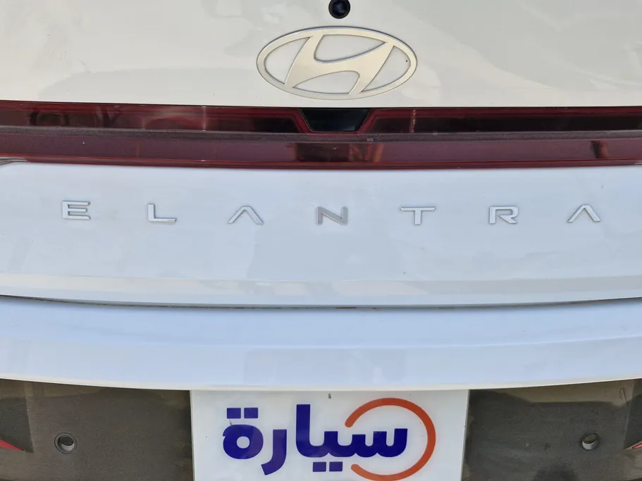 2024 Hyundai Elantra Fleet 