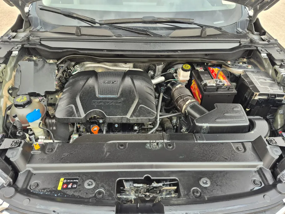 هافال جوليان بيسك 2024 