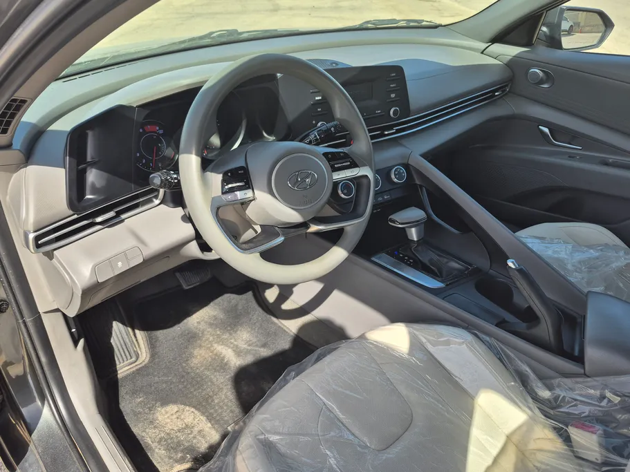 2022 Hyundai Elantra Fleet 