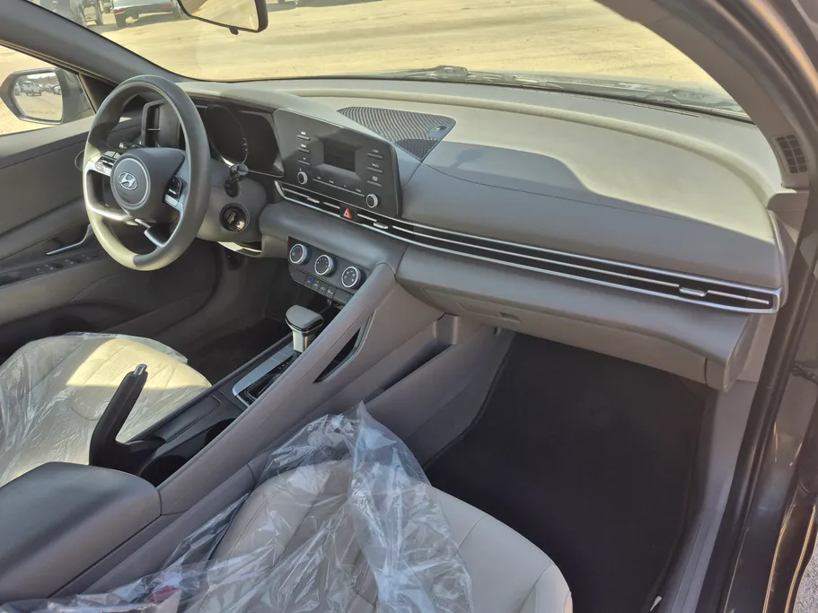 2022 Hyundai Elantra Fleet 