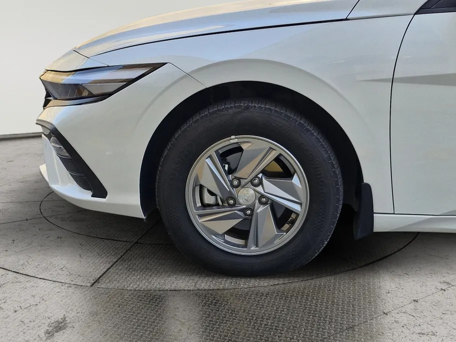 2024 Hyundai Elantra Fleet 