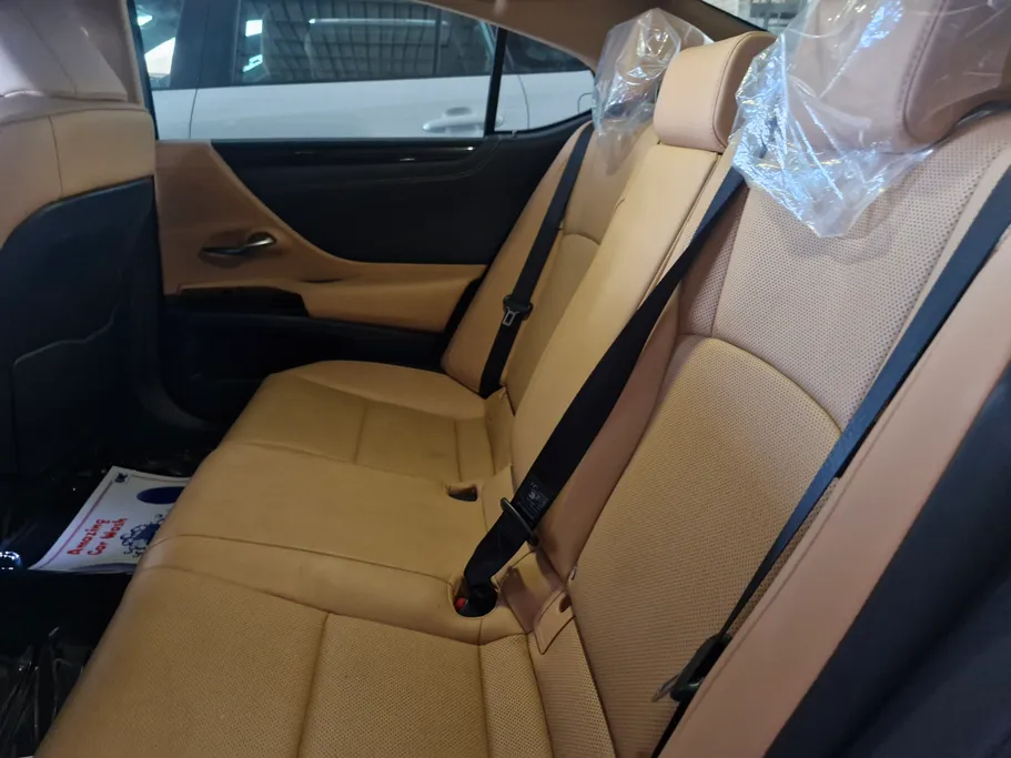 2024 Lexus ES 250 AA Elegant 