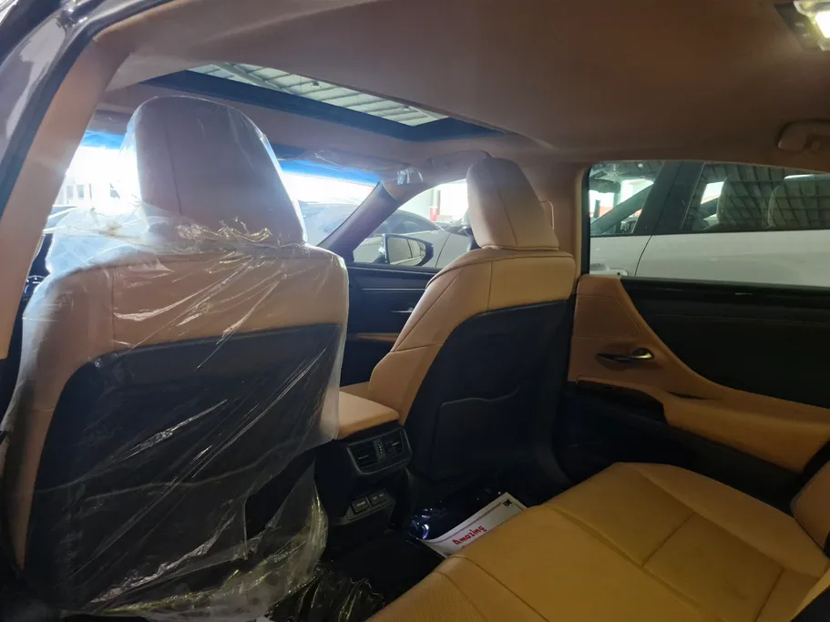 2024 Lexus ES 250 AA Elegant 