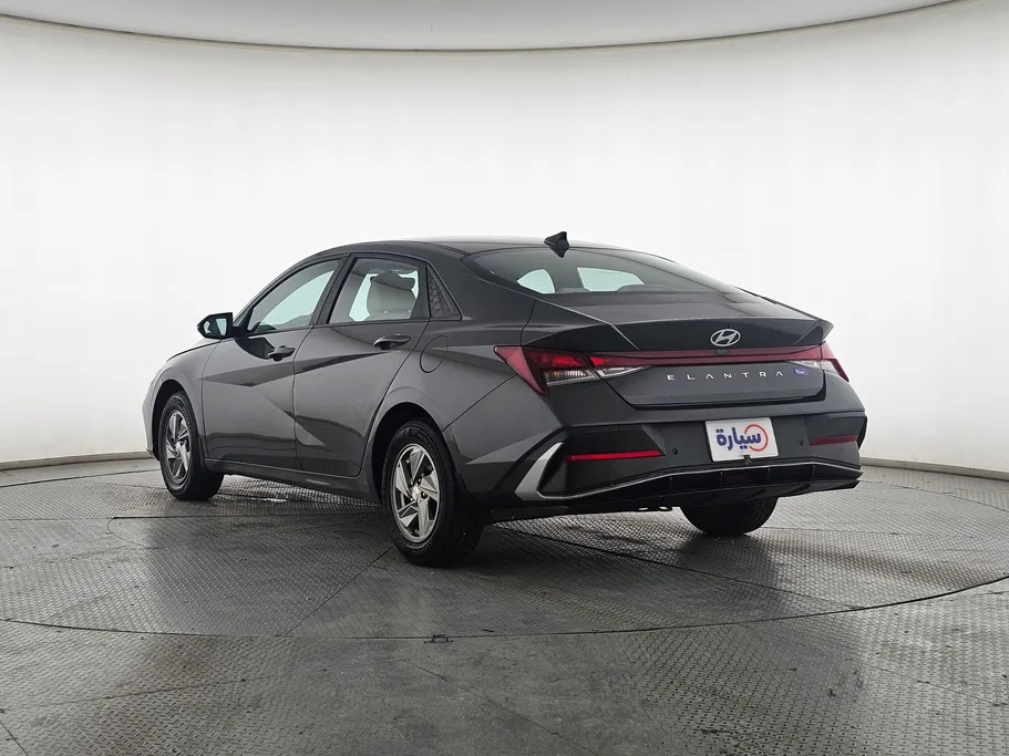 2024 Hyundai Elantra Fleet 