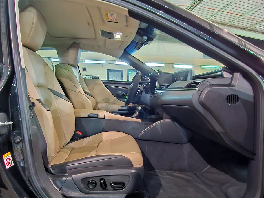 2019 Lexus ES 300 H 