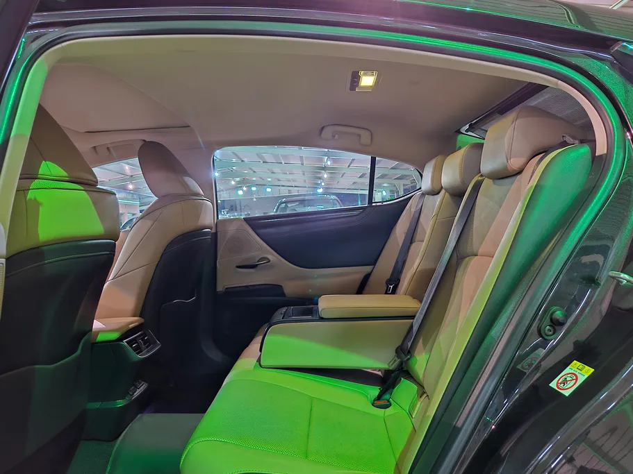 2019 Lexus ES 300 H 