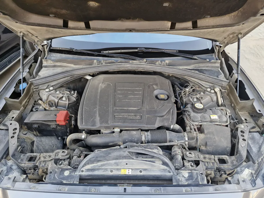 جاغوار F Pace  2019 