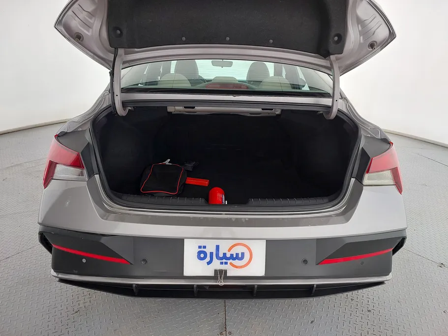 2024 Hyundai Elantra Fleet 