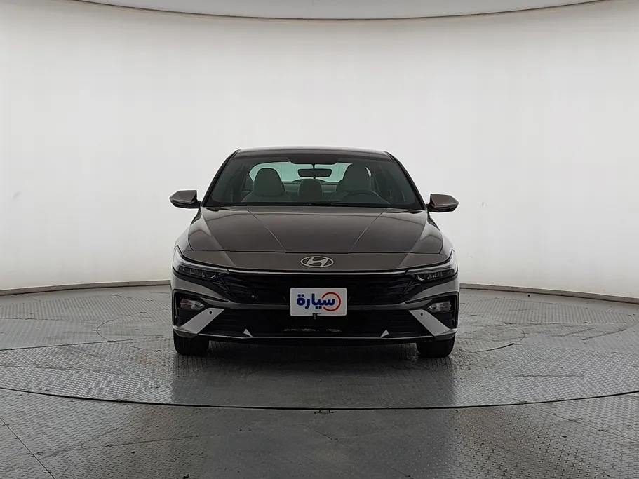 2024 Hyundai Elantra Fleet 