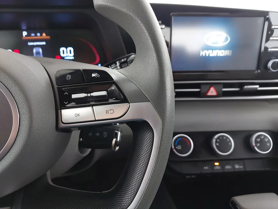 2024 Hyundai Elantra Fleet 