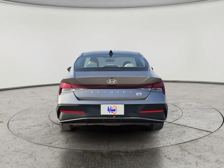 2024 Hyundai Elantra Fleet 