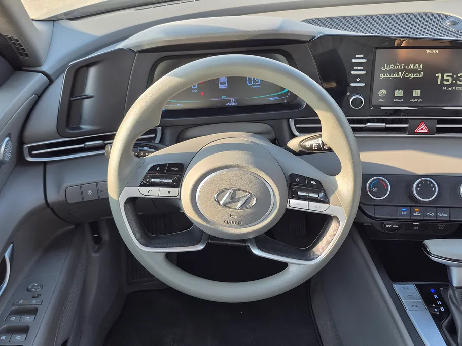 2024 Hyundai Elantra Fleet 