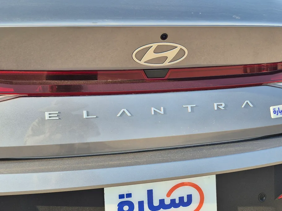 2024 Hyundai Elantra Fleet 