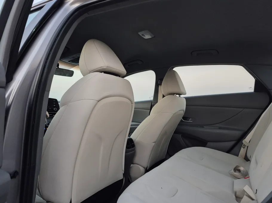 2023 Hyundai Elantra Fleet 