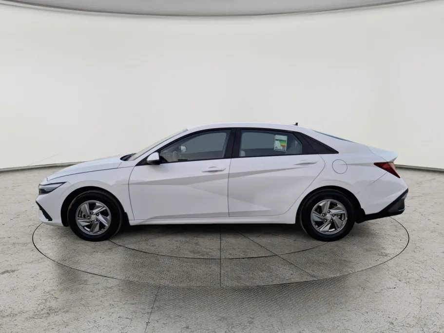 2024 Hyundai Elantra Fleet 