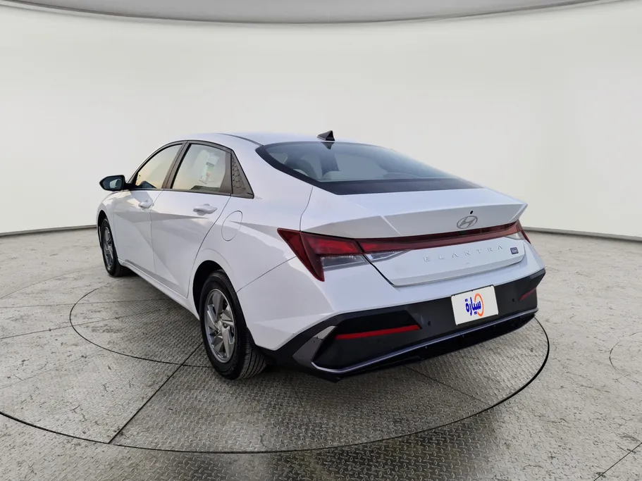 2024 Hyundai Elantra Fleet 