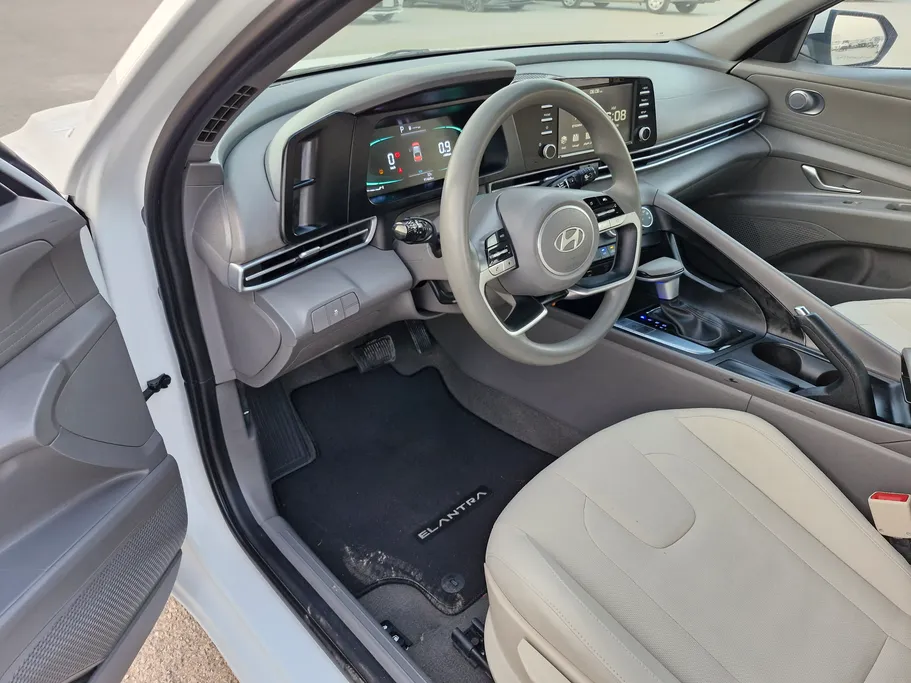 2024 Hyundai Elantra Fleet 