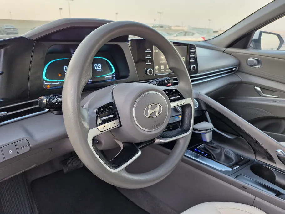 2024 Hyundai Elantra Fleet 