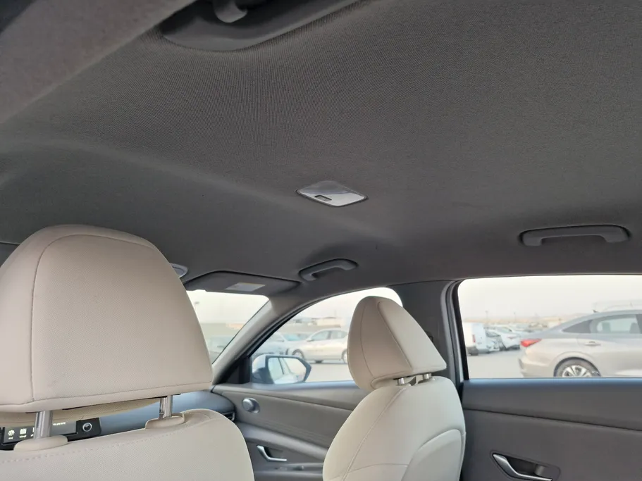 2024 Hyundai Elantra Fleet 