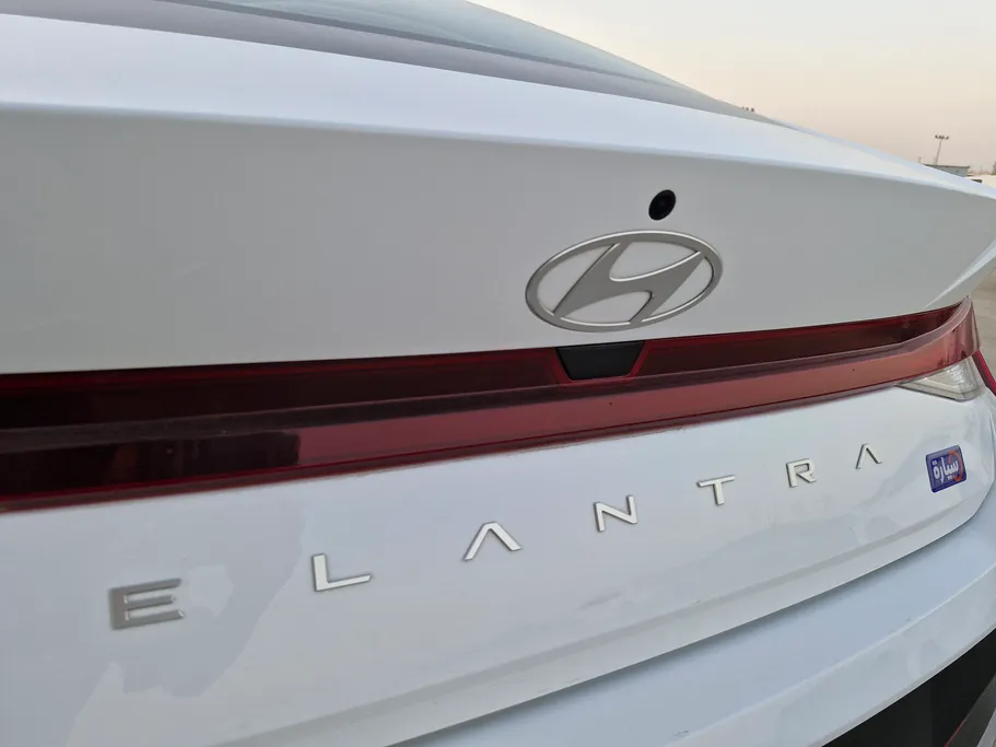 2024 Hyundai Elantra Fleet 